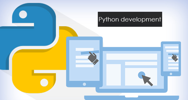 low-cost-Python-website-Development-milligram-it